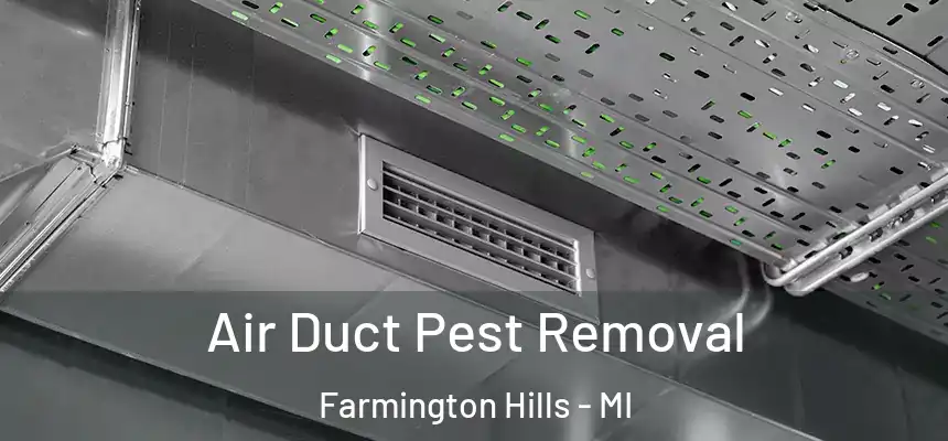 Air Duct Pest Removal Farmington Hills - MI