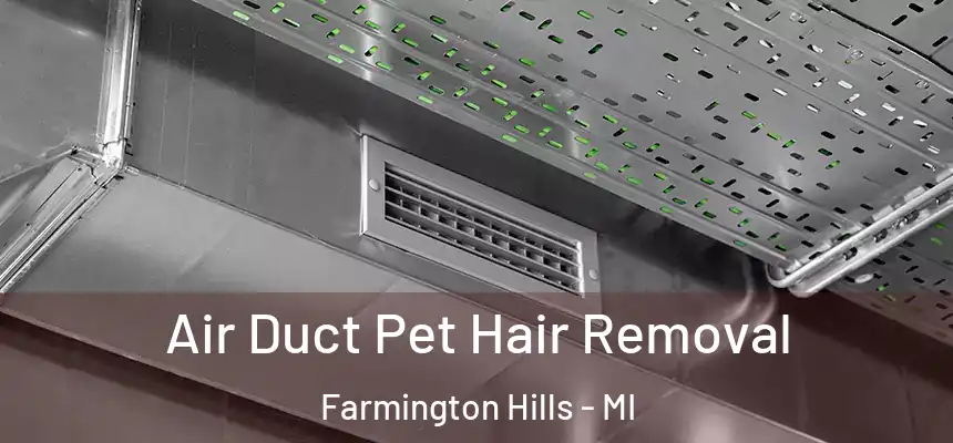 Air Duct Pet Hair Removal Farmington Hills - MI