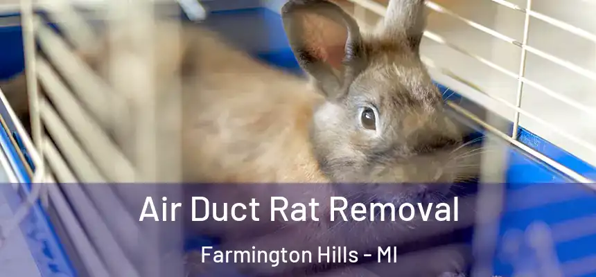 Air Duct Rat Removal Farmington Hills - MI