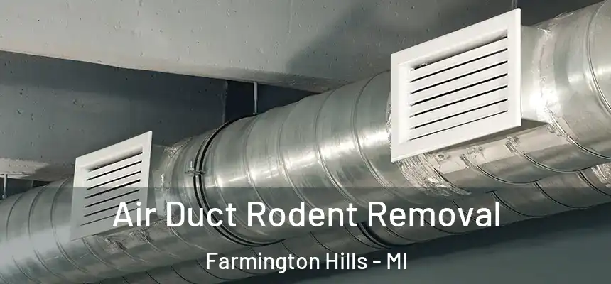 Air Duct Rodent Removal Farmington Hills - MI