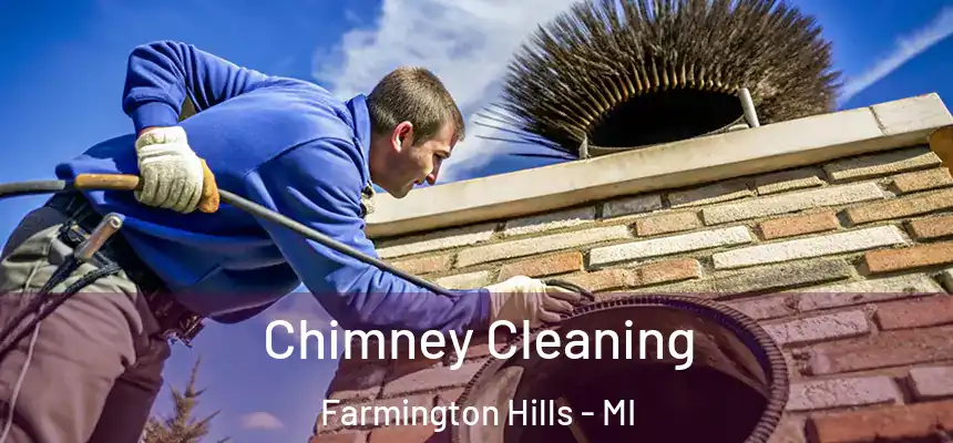 Chimney Cleaning Farmington Hills - MI