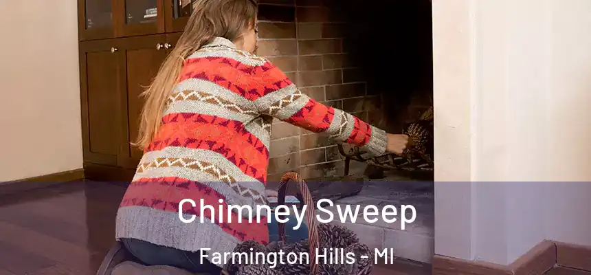 Chimney Sweep Farmington Hills - MI
