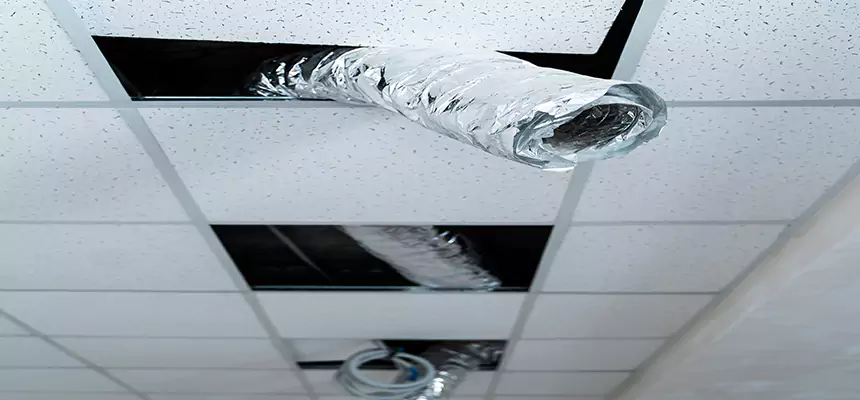 Affordable HVAC Sanitizing After Pest Removal in Farmington Hills