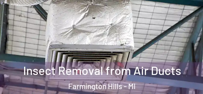 Insect Removal from Air Ducts Farmington Hills - MI
