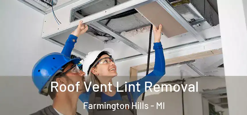 Roof Vent Lint Removal Farmington Hills - MI