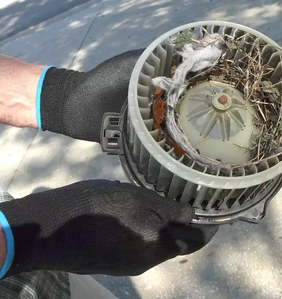 About Air Duct Mice Removal in Farmington Hills, MI