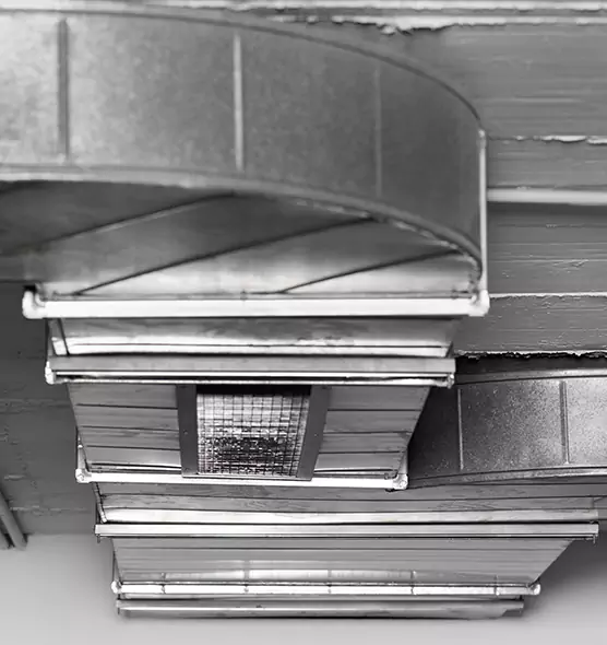 Professional Air Duct Pest Removal in Farmington Hills, MI