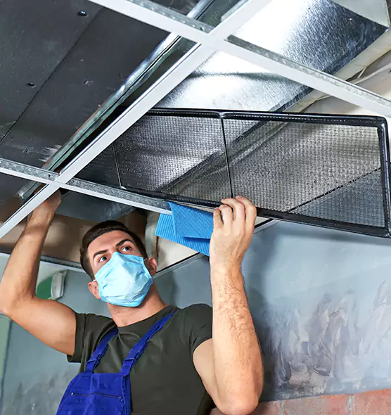 Professional Air Duct Pollen Cleaning in Farmington Hills, MI