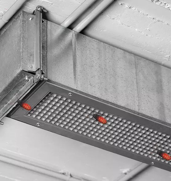 Affordable Insect Removal from Air Ducts in Farmington Hills, MI