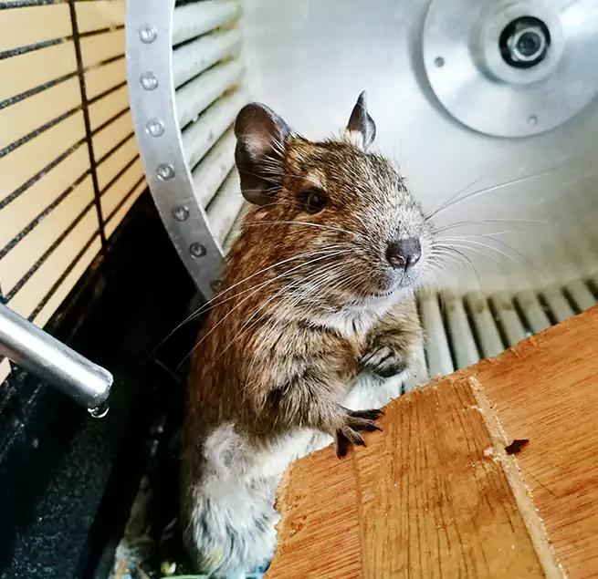 Why Homeowners & Businesses Trust Us Farmington Hills, MI